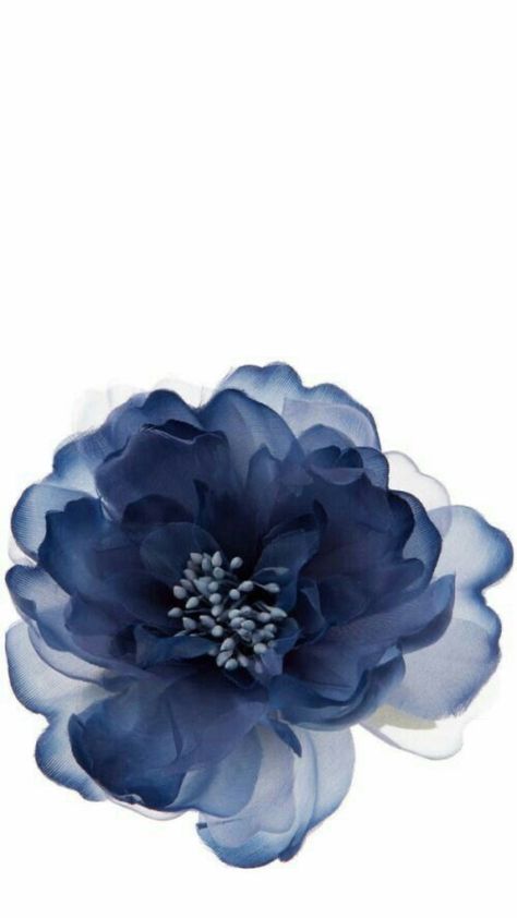 Ipad Lockscreen, Blue Flower Wallpaper, Artistic Wallpaper, Blue Hibiscus, Navy Flowers, Iphone Design, Hibiscus Flowers, Journal Stickers, Ipad Wallpaper