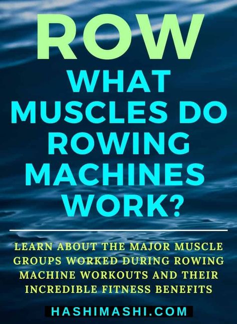 What Muscles Do Rowing Machines Work - Learn about the major muscle groups worked during rowing machine workouts + their incredible fitness benefits. rowing muscles worked | rowing machine muscles worked | what muscles do rowing machines work Rowing Machine Muscles Worked, Rowing Muscles Worked, Row Machine Workout, Rowing Machine Workout Benefits, Squats Muscles Worked, Row Machine Benefits, Rowing Workouts, Machine Workouts, Fitness Benefits