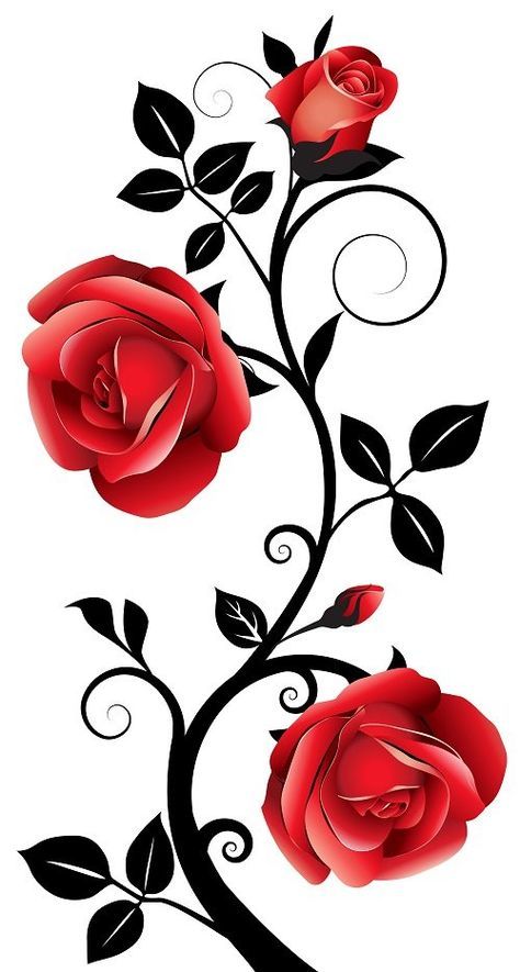 Rose Vine Tattoos, Beautiful Flower Drawings, Vine Tattoos, Rose Vines, Flower Art Drawing, Rose Drawing, Roses Drawing, Rose Wall, Trendy Flowers