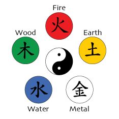 Chi Energy, Dragon Tattoo For Women, Elements Tattoo, Fire Fire, Five Elements, Martial Arts Movies, Tai Chi Chuan, 5 Elements, Fire Water