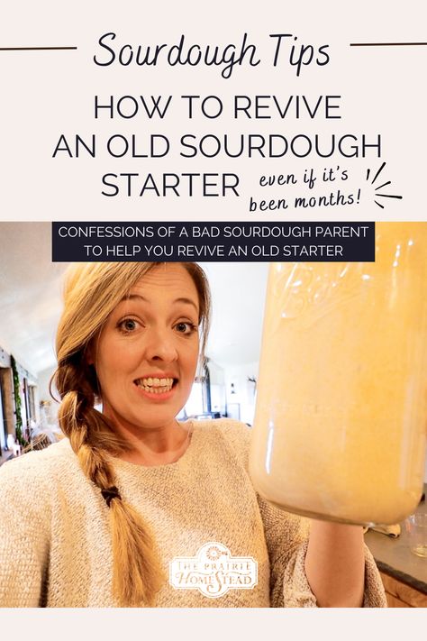 How to Revive an Old Sourdough Starter (even if it's been months) • The Prairie Homestead Sourdough Tips, Homestead Cooking, The Prairie Homestead, Survival Preparedness, Prairie Homestead, Cooking With Essential Oils, Homesteading Ideas, Sourdough Starter Recipe, Cast Iron Skillet Recipes