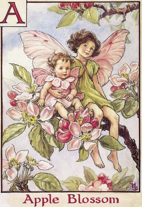 Flower Fairy Alphabet, Fairy Alphabet, Flower Fairies Books, Fairy Drawings, Fairy Cake, Fairy Pictures, Cicely Mary Barker, Fairy Artwork, Fairy Tattoo