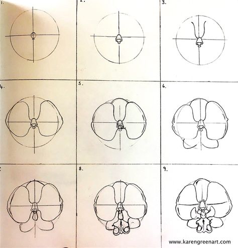 Phalaenopsis Orchid Drawing, Drawing Of Orchids Flower, Draw Orchid Step By Step, Orkid Flower Drawing Easy, Orchid Bouquet Drawing, Orchid Drawing Tutorial, Orchid Doodle Simple, Orchid Aesthetic Drawing, Orchid Art Drawing