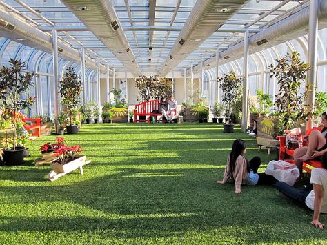 Indoor lawn- dream living room Indoor Park Design, Bureau Open Space, Abandoned Mansion For Sale, Indoor Park, Modern Restaurant Design, Beautiful Outdoor Living Spaces, Hospital Interior Design, Pond Design, Indoor Patio