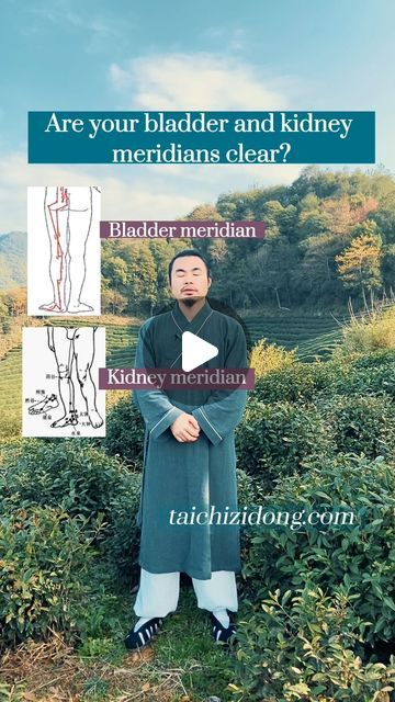 Bladder Meridian, Kidney Meridian, Meridian Energy, Blocked Energy, Body Exercises, Kidney Health, Qi Gong, Health Board, Acupressure