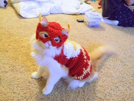 I Am The Flash Cat ... Check Out These Crochet Superhero Cosplays For Cats! Patterns & Tutorials Too! #cat #cats #caturday #handmade #diy #cosplay Crochet Flash, Cat Outfits Pets, Cat Hat Pattern, Silly Kitties, Crochet Cat Hat, Cat Cosplay, Cat Talk, Cat Fashion, Pet Fashion