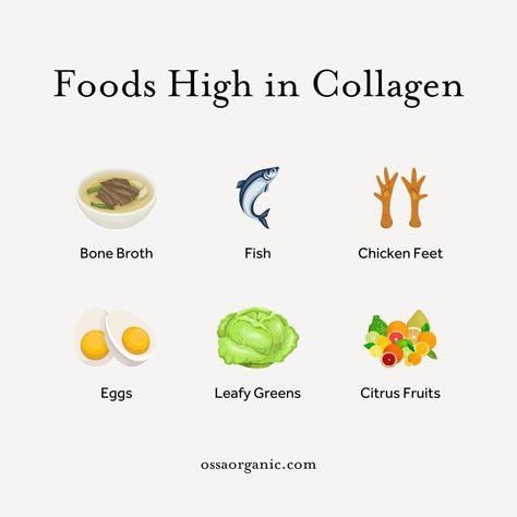 Collagen Rich Foods, Instagram Boost, Lemons And Limes, For Healthy Skin, Omega 3 Fatty Acids, Savory Soups, Nourish Your Body, Natural Foods, Easter Sale