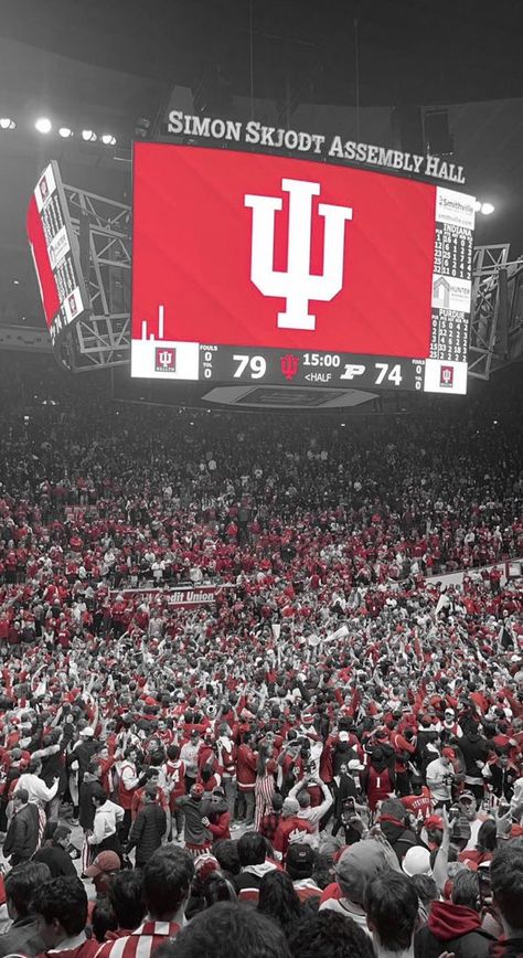 Indiana Hoosiers Basketball, Iu Hoosiers, College Vision Board, Indiana University Bloomington, Dream College, Indiana Hoosiers, Dream School, Indiana University, The Guys