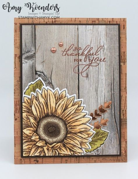 Stampin Up Celebrate Sunflowers, Sunshine Cards, Sunflower Cards, Pretty Pumpkins, Homemade Birthday Cards, Stamping Up Cards, Thanksgiving Cards, Some Cards, Fall Cards