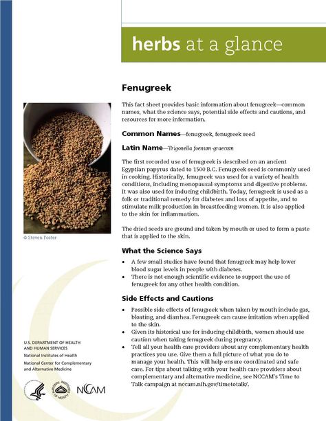 Fenugreek Benefits Side Effects, Fenugreek Benefits, Herbal Education, Growing Healthy Hair, Pimples Remedies, Fenugreek Seeds, Cold Remedies, Health Skin Care, Fact Sheet