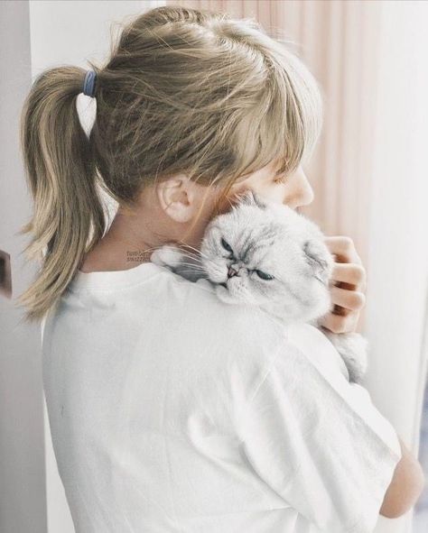 Olivia And Taylor, Taylor Swift And Olivia, Taylor Version, Taylor Swift Cat, Reputation Era, Shorthair Cat, Olivia Benson, Shailene Woodley, Taylor Swift Funny