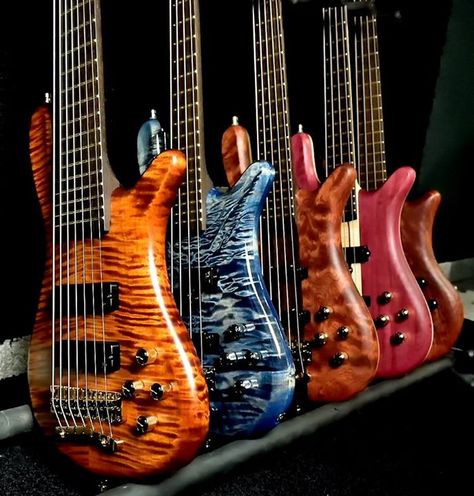 Framus & Warwick Basses Warwick Bass Guitar, Warwick Bass, Custom Bass Guitar, Acoustic Bass Guitar, Custom Bass, Guitar Photography, Bass Guitars, Bass Player, Electric Guitars