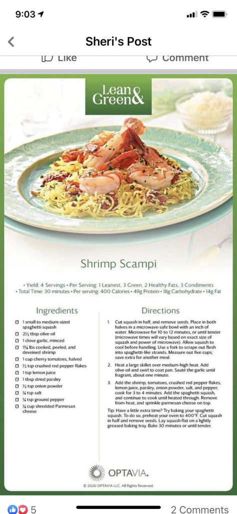 Lean And Green Shrimp Scampi, Spaghetti Squash Shrimp, Optivia Recipes, Optavia Meals, Tuna Steak Recipes, Medifast Recipes, Optavia Lean And Green, Creamy Spaghetti, Optavia Recipes