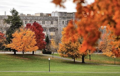 Maroon & Orange trees @ Virginia Tech in the fall Virginia Tech Campus, Virginia Tech Football, Explore Idaho, Football Champions, Blacksburg Va, Cascade Falls, Orange Trees, Tech Aesthetic, Virginia Tech Hokies