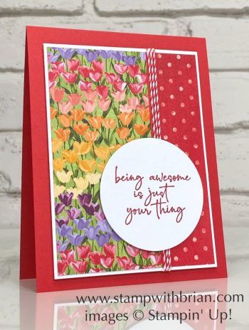 Flowering Fields Stampin Up Cards Ideas, Flowering Fields Stampin Up Cards, Tulips Netherlands, Pansy Cards, Tulip Cards, Designer Paper Cards, Tulips Card, Sweet Paper, Card Layouts