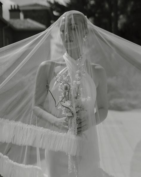 Pleated Veil, Wedding Portrait Poses, Love Story Wedding, Bride Photo, Floral Designer, Bridal Shoot, Glam Wedding, Lace Mermaid Wedding Dress, Wedding Mood