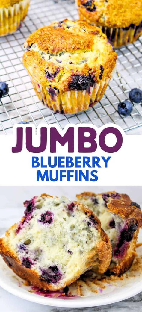 These delicious jumbo blueberry muffins are so easy to make with this simple and delightful recipe! The perfect bread for breakfast, picnics or dessert! Large Blueberry Muffins, Jumbo Blueberry Muffins Recipe, Jumbo Muffin Recipes, Biscuit Muffins, Jumbo Blueberry Muffins, Mini Breakfast Quiche, Bread For Breakfast, Double Chocolate Chip Muffins, Blueberry Muffins Recipe