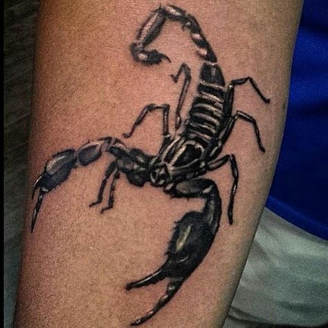 Japanese Scorpion Tattoo, Tattoo Design Meaning, Scorpion Tattoo Design, Feather Tattoo Design, Scorpion Tattoo, Scorpio Sign, Feather Tattoo, Top Tattoos, Star Signs