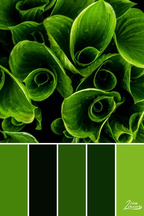 Fern Color Palette, Bright Green Color Palette, Kitchens Wallpaper, Pastel Blue Palette, Houses Bathroom, Aesthetic Color Palettes, Color Palette Combinations, Green Chakra, Create Color Palette