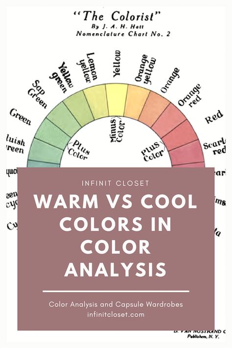 Cool Vs Warm Colors, Warm Vs Cool Colors, Cool Summer Palette, Warm And Cold Colours, Soft Summer Palette, Cool Color Palette, Warm And Cool Colors, True Winter, Hue Color