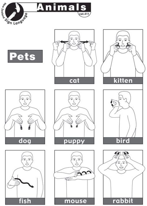 Pets New Zealand Sign Language, Sign Launage, Nz Sign Language, Teaching Baby Sign Language, English Sign Language, Makaton Signs, Simple Sign Language, Asl Sign Language Words, Learn Asl