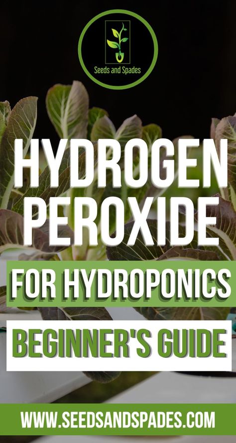 Small Aquaponics System, Hydroponic Gardening Basement, Hydroponic House Plants Ideas, Rockwool Hydroponic, Diy Hydroponic Garden Indoor, Hydroponics Diy Indoor, Hydrogen Peroxide For Plants, Hydro Garden, Hydroponic Gardening For Beginners