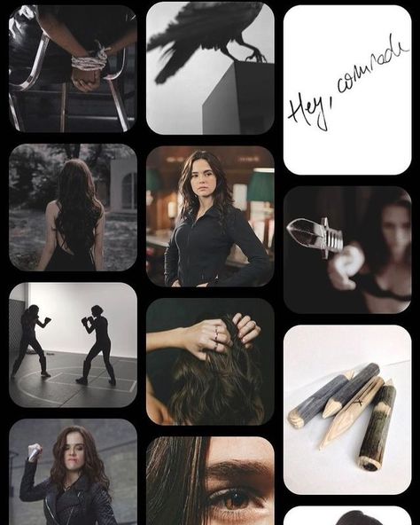 Rose Hathaway Fan Art, Rose Hathaway Aesthetic, Vampire Academy Aesthetic, Rosemarie Hathaway, Lissa Dragomir, The Vampire Academy, Vampire Academy Rose, Dream Asthetic, Vampire Academy Books