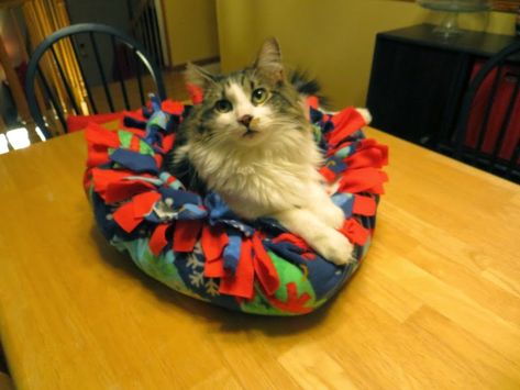 Animal Shelter Donations, Cat Bed Pattern, Fleece Pet Bed, Diy Cat Bed, Diy Pet Bed, Cat Tree House, Cats Diy Projects, Cat Purr, Cat Playground