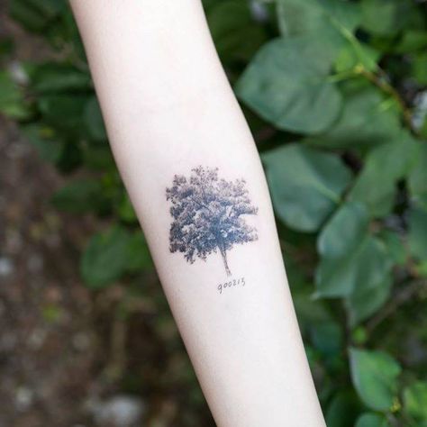 Tree tattoo on the inner forearm. Oak Tree Tattoo Forearm, Tattoo Forearm Women, Small Tattoos Arm, Maple Tree Tattoos, Tree Tattoo Forearm, Tree Tattoo Arm, Oak Tree Tattoo, Inner Forearm Tattoo, Band Tattoos