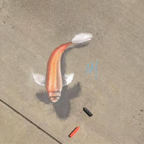 Go follow my Instagram @works_by_mertz #art#chalk#sidewalk#sidewalkchalk#sidewalkart#3Dart#3Dchalk#3Dchalkart#chalkart#koi#koifish#koifishart#fishart#fish#fishdrawing#drawing#timelapse#arttimelapse#drawingtimelapse#artideas#chalkideas#chalkartideas#drawingideas Fish Chalk Art, Colourful Jellyfish, Chalk Art Festival, Street Chalk Art, Fun Chalk Art, Kristina Webb, 3d Chalk Art, Jellyfish Drawing, Chalk Design