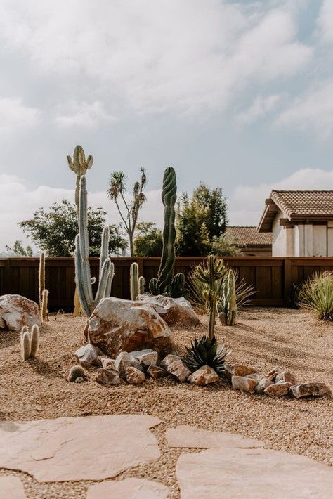 Minimalist Rock Garden, Low Maintenance Garden Ideas, Desert Plants Landscaping, Aspen Landscaping, Cactus Garden Design, Desert Landscaping Backyard, Cool Cactus, Cactus Garden Landscaping, Flagstone Pathway