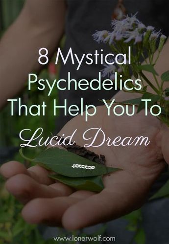 8 Mystical Herbs and Legal Psychedelics For Lucid Dreaming ⋆ LonerWolf Dream Herbs, Magic Herbs, Magical Herbs, Herbal Apothecary, Herbal Healing, Herbal Magic, Vie Motivation, Herbs For Health, Lucid Dreaming