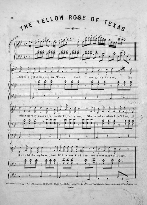 “The Yellow Rose of Texas”: The Ironic Origins of a Popular Song • Yellow Rose Of Texas, Folk Songs, Texas Crafts, Texas Art, Black Person, Texas History, Folk Song, Folk Music, Historical Events