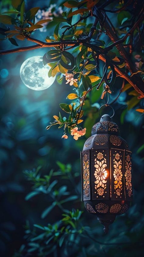 Hanging Glowing Ramadan celebration lantern lighting nature night. | free image by rawpixel.com / Darakoon Jaktreemongkol Light Night Wallpaper, Night Moon Wallpaper, Islamic Background Images, Islamic Nature, Glowing Wallpaper, Good Night Hd, Lantern Background, Lantern Photography, Glowing Lantern