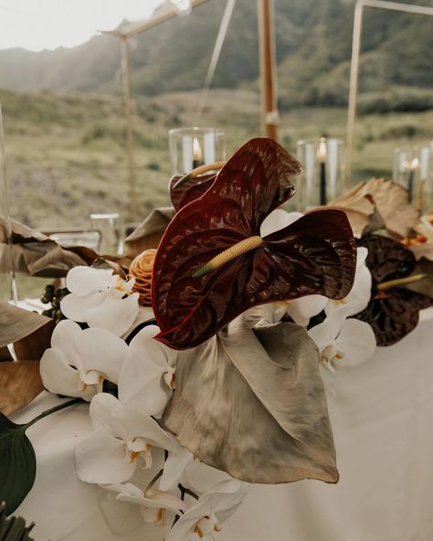 Sculptural floral arrangements shaped this couple’s wedding in the middle of a jungle in Hawaii. 🌺 From the asymmetric palm ceremony altar to the Ikebana centerpieces—all using flowers local to the island—transformed each space. See each defining element of the modern-meets-tropical celebration at the link in bio. 🌴 📷: @keanibakula 📋: @forever_amour_events 💐: @meidayhawaii 🎥: @twinfinfilmworks 👗: @musebyberta 📍: @kualoaranchweddings 💇‍♀️: @_jt_hair_ 💄: @revealhairandmakeup 💌: @funkyolivedesig... Moody Tropical Wedding, Ceremony Altar, Jungle Wedding, Ikebana, Floral Arrangements, Link In Bio, Hawaii, Sculpture, Celebrities