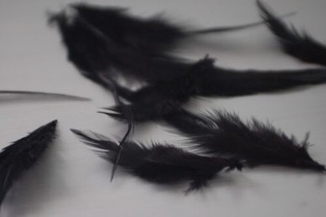 black, feather, and aesthetic image Whats Wallpaper, The Fallen Angel, Yennefer Of Vengerberg, Raven Queen, Vox Machina, Wolfram, Swan Lake, Black Feathers, Black Swan