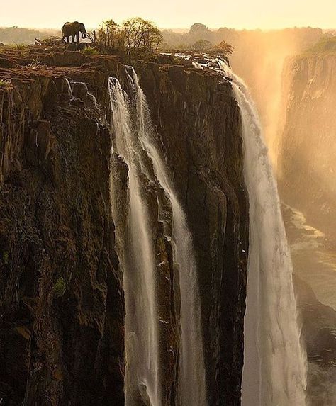 6,912 Likes, 36 Comments - Our Nature, Our Planet🌍 (@nat.geography) on Instagram: “Victoria Falls ~ Photograph By @marselvanoosten #natgeography” Victoria Falls Zambia, Victoria Falls Zimbabwe, Water For Elephants, Livingstone, Victoria Falls, Les Cascades, Foto Art, Beautiful Waterfalls, An Elephant