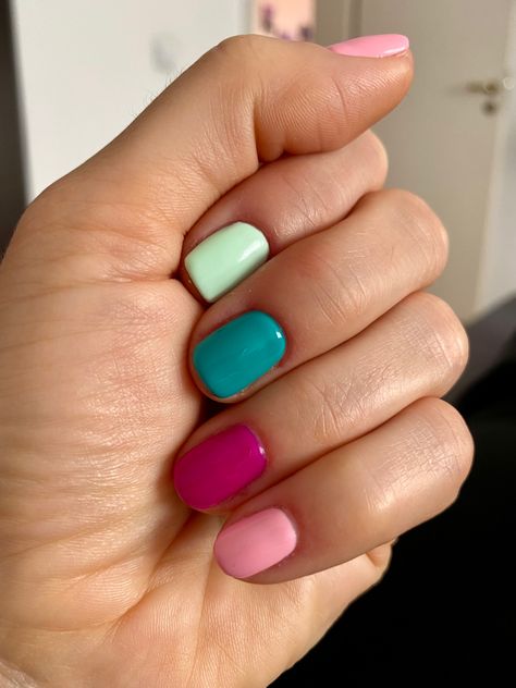 Short Multi Colored Nails, Short Nails Different Colors, Nail Color Inspo Summer, Multi Color Gel Nails, Neutral Multicolor Nails, Fall Nail Color Combos, Dip Powder Spring Nails, Acrylic Nails Solid Color Simple, Skittle Nails Color Combos