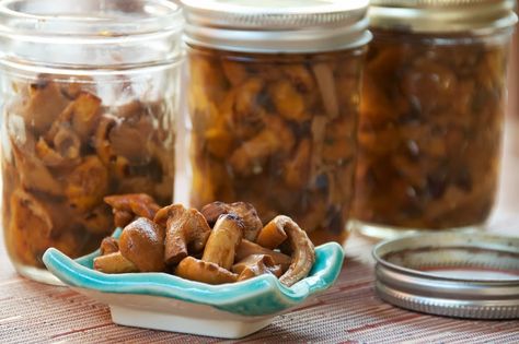 Chanterelle Recipes, Canned Goods, Homemade Pickles, Wild Food, Wild Mushrooms, Meatless Meals, Mushroom Recipes, Preserving Food, Canning Recipes