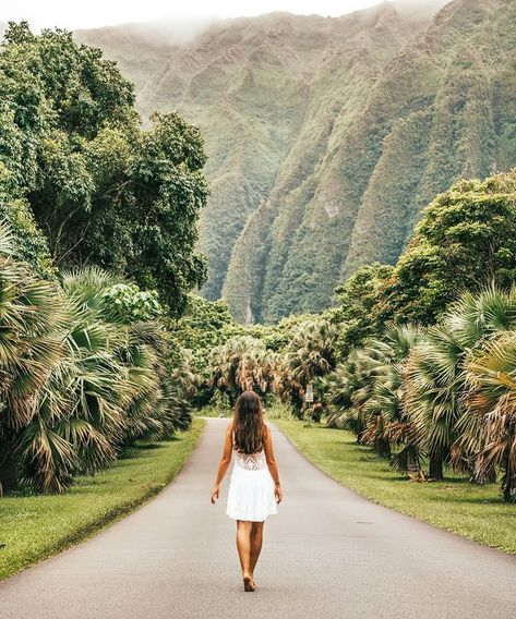 Catarina Mello | TRAVEL | SF on Instagram: “At the end of the day your feet should be dirty, your hair messy & your eyes sparkling ✨ 🌺 ---- Exploring Hawaii with @hawaiianairlines…” Welcome To Jurassic Park, Moving To Hawaii, Botanical Garden, Jurassic Park, Garden Wedding, Beach Pictures, Botanical Gardens, Road Trip, Hawaii