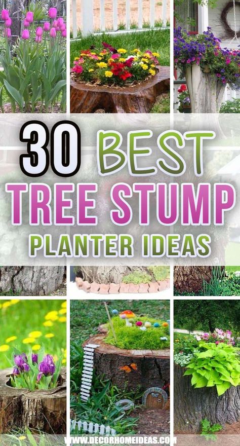 Best Tree Stump Planter Ideas. If you are not sure what to do with the old tree stump left in your garden we have some amazing tree stump planter ideas that will turn the trunk into a blooming mini garden. #decorhomeideas What To Do With Old Tree Stumps, What To Do With A Tree Trunk, Outdoor Stump Decorating Ideas, Tree Log Planter, Stump Yard Ideas, Backyard Stump Ideas, Tree Trunk Landscaping Ideas, Landscaping With Logs Tree Stumps, Planting Flowers In Tree Stumps