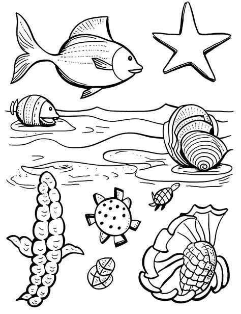 Sea Creature Scavenger Hunt: Discover and color different types of tropical fish, corals, and other sea creatures. (Free Printable Coloring Page for Kids) Summer Coloring Pages Free Printable, Thanksgiving Worksheets, Summer Coloring, Toddler Beach, Colorful Ice Cream, Hot Air Balloon Festival, Thanksgiving Preschool, Pineapple Parties, Summer Coloring Pages