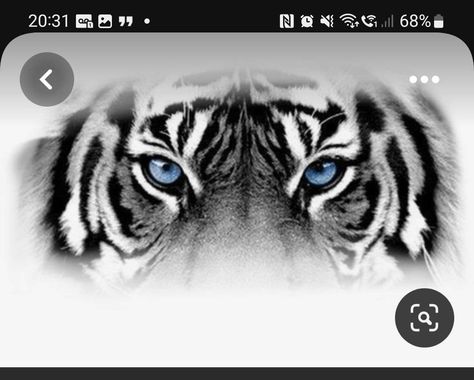 Tiger Eyes Tattoo, Hair Tattoo Designs, Tiger Face Tattoo, Animal Sleeve Tattoo, Christian Sleeve Tattoo, Tattoo Lion, Eyes Tattoo, Buddha Tattoo Design, Realistic Tattoo Sleeve