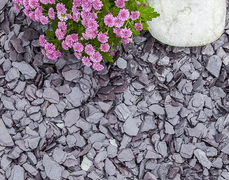 Blue Slate Chippings 20mm | Decorative Aggregates | Mulching | pathways | driveways | decorative landscaping Blue Slate Chippings, Plum Slate, Decorative Aggregates, Slate Garden, Slate Rock, Outdoor Water Features, Lawn Design, Beach Garden, Low Maintenance Garden