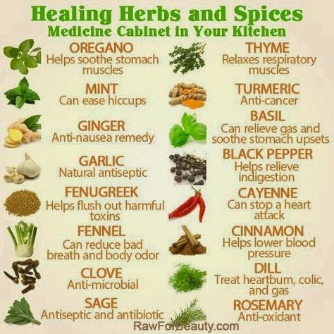 Herbs and Spices: A Beginner’s Guide to Nature’s Flavor Enhancers Benefits Of Herbs, Remedies For Nausea, Herbs For Health, Natural Therapy, Healing Food, Herbs And Spices, Healing Herbs, Natural Health Remedies, Medicinal Herbs