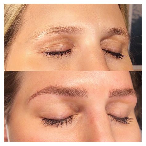 🌺HAYDEN | Brow Artist 🌺 on Instagram: “A shape so natural and flawless people will believe it’s just your natural brows 🤭✨” Natural Brows Shape, Microblading Inspiration, Tinting Eyebrows, Brows Shape, Feathered Brows, Permanente Make-up, Feather Brows, Brow Artist, Eyebrow Tinting