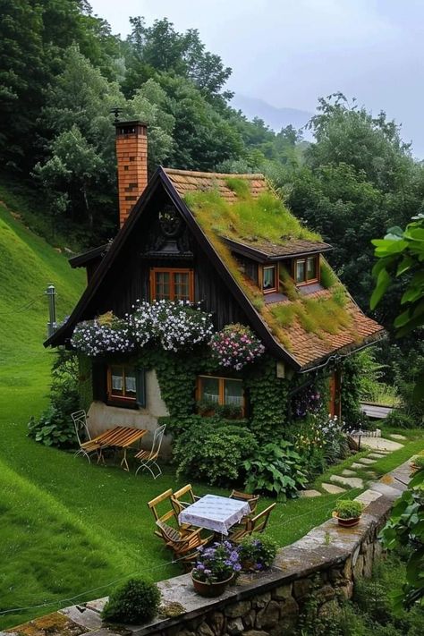 Cottage House In Forest, Cottage Forest House, Simple Village House Design, Forest Cottage Aesthetic, Fairytale Cottage Interiors, Cottage In The Forest, Cute Houses, Fairytale Houses, Forest Cottage