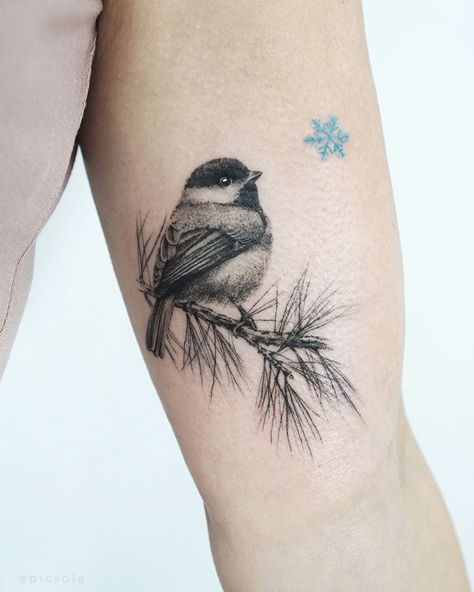 Ola | tattoo artist on Instagram: “A small chickadee for Karen, thank you! #chickadee #chickadeetattoo #birdtattoo” Flying Chickadee Tattoo, Small Sparrow Tattoo, Two Birds Tattoo, Chickadee Tattoo, Voll Arm-tattoos, Pine Tattoo, Robin Tattoo, Bluebird Tattoo, Bird Tattoos For Women