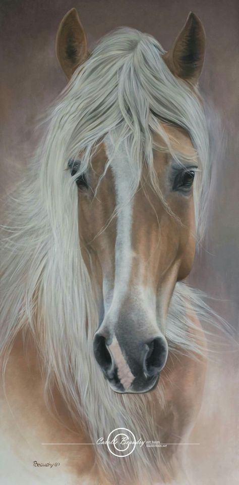 Horse Canvas Painting, Horse Artwork, Most Beautiful Horses, Horse Drawing, Horses And Dogs, Horse Drawings, Equine Art, White Horses, Cute Horses