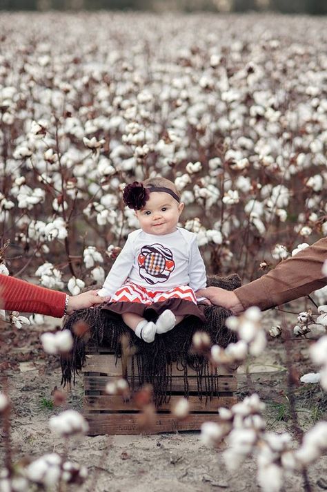 Family Pictures In Cotton Field, Family Cotton Field Pictures, Cotton Field Photoshoot, Cotton Field Photography, Photography Creativity, Fall Baby Pictures, Newborn Family Pictures, First Birthday Photography, Cute Family Pictures